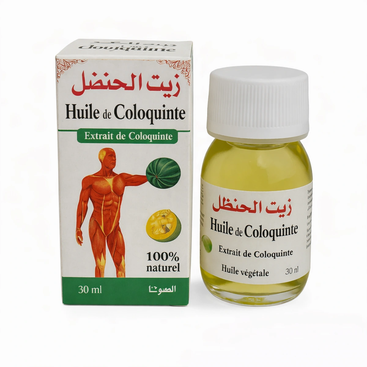Huile de Coloquinte 30ml – Lot de 12